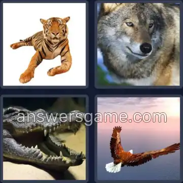 4 Bilder 1 Wort 8 Buchstaben RAUBTIER