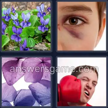 4 Bilder 1 Wort 8 Buchstaben VEILCHEN