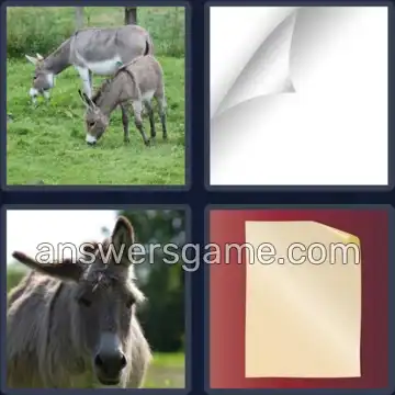 4 Bilder 1 Wort 8 Buchstaben ESELSOHR