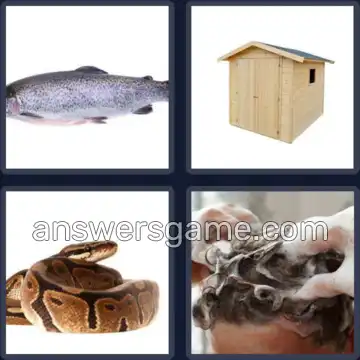 4 Bilder 1 Wort 8 Buchstaben SCHUPPEN