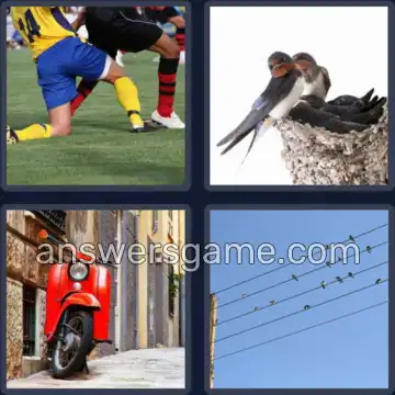 4 Bilder 1 Wort 8 Buchstaben SCHWALBE