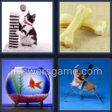 4 Bilder 1 Wort 8 Buchstaben HAUSTIER