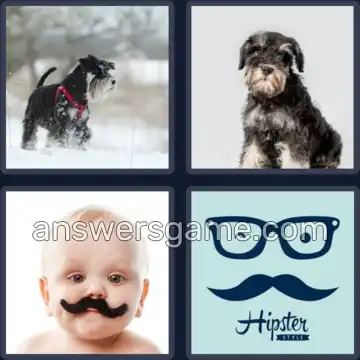 4 Bilder 1 Wort 9 Buchstaben SCHNAUZER