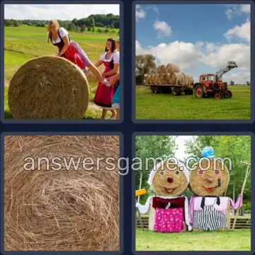4 Bilder 1 Wort 9 Buchstaben HEUBALLEN