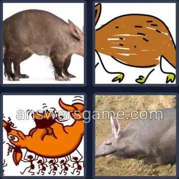 4 Bilder 1 Wort 9 Buchstaben ERDFERKEL