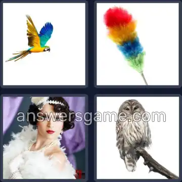 4 Bilder 1 Wort 9 Buchstaben GEFIEDERT