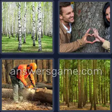 4 Bilder 1 Wort 9 Buchstaben BAUMSTAMM