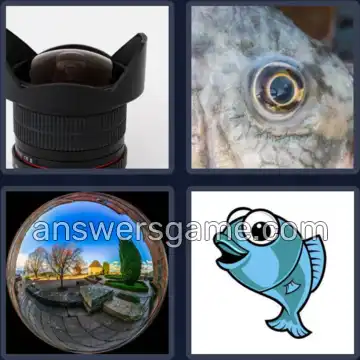 4 Bilder 1 Wort 9 Buchstaben FISCHAUGE