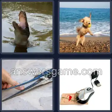 4 Bilder 1 Wort 9 Buchstaben SCHNAPPEN