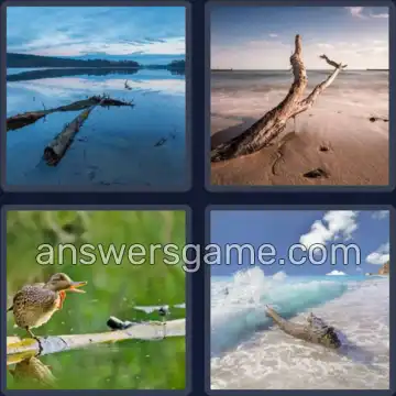 4 Bilder 1 Wort 9 Buchstaben TREIBHOLZ