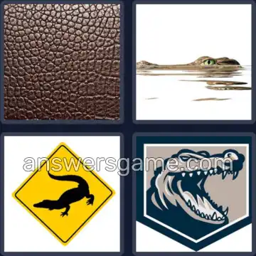 4 Bilder 1 Wort 9 Buchstaben ALLIGATOR