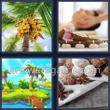 4 Bilder 1 Wort 9 Buchstaben KOKOSNUSS