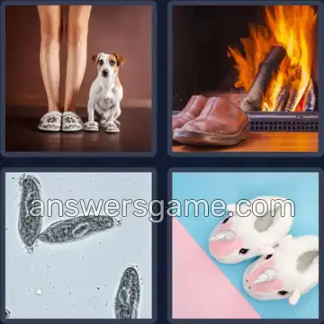 4 Bilder 1 Wort 9 Buchstaben PANTOFFEL