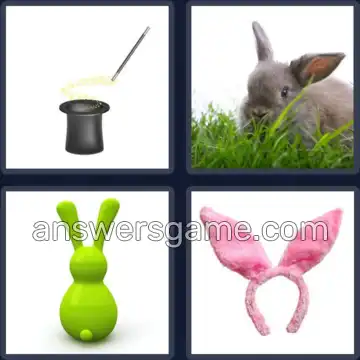 4 Bilder 1 Wort 9 Buchstaben KANINCHEN