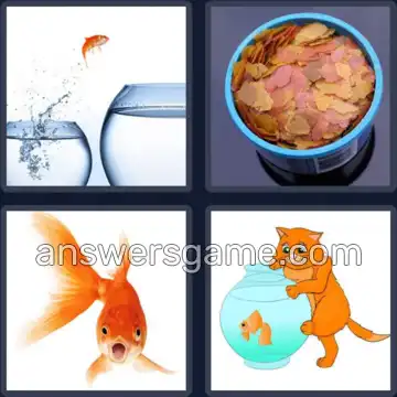 4 Bilder 1 Wort 9 Buchstaben GOLDFISCH