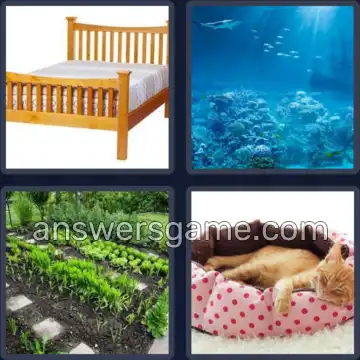 4 Pics 1 Word 3 Letters BED