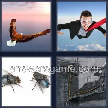 4 Pics 1 Word 3 Letters FLY