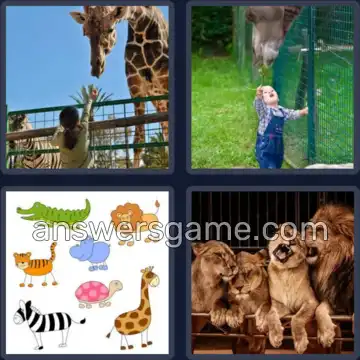 4 Pics 1 Word 3 Letters ZOO