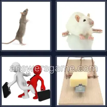 4 Pics 1 Word 3 Letters RAT