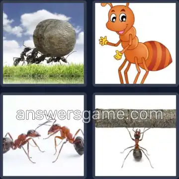 4 Pics 1 Word 3 Letters ANT