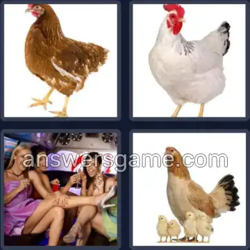 4 Pics 1 Word 3 Letters HEN