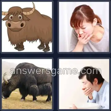 4 Pics 1 Word 3 Letters YAK