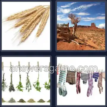 4 Pics 1 Word 3 Letters DRY