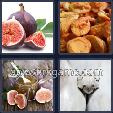 4 Pics 1 Word 3 Letters FIG