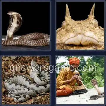 4 Pics 1 Word 3 Letters ASP