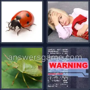4 Pics 1 Word 3 Letters BUG