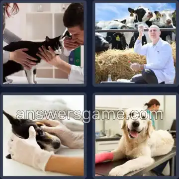 4 Pics 1 Word 3 Letters VET