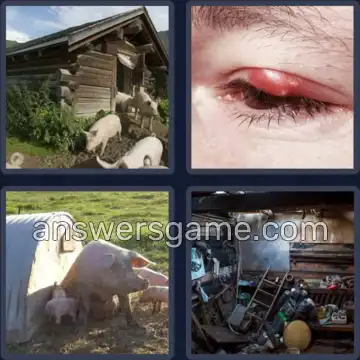 4 Pics 1 Word 3 Letters STY