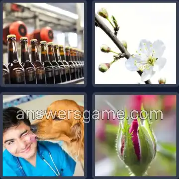 4 Pics 1 Word 3 Letters BUD