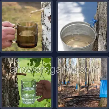 4 Pics 1 Word 3 Letters SAP