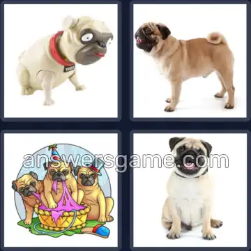 4 Pics 1 Word 3 Letters PUG
