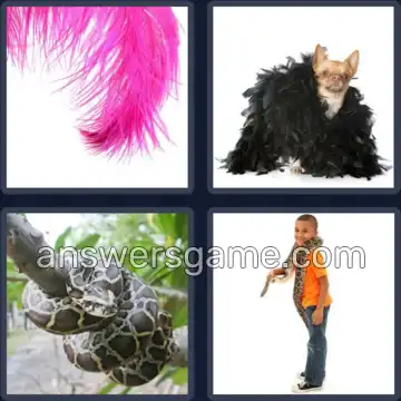 4 Pics 1 Word 3 Letters BOA