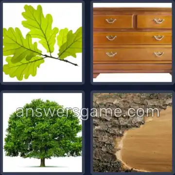 4 Pics 1 Word 3 Letters OAK