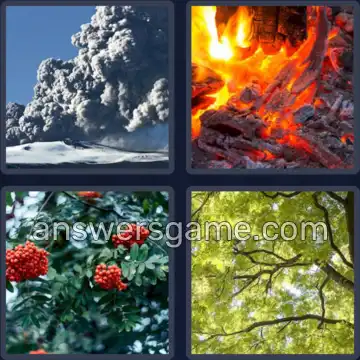 4 Pics 1 Word 3 Letters ASH