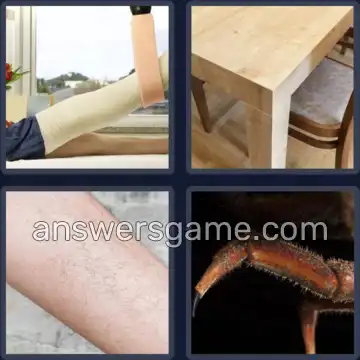 4 Pics 1 Word 3 Letters LEG