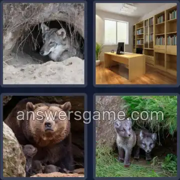 4 Pics 1 Word 3 Letters DEN