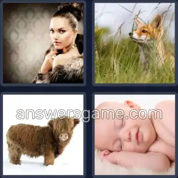 4 Pics 1 Word 3 Letters FUR