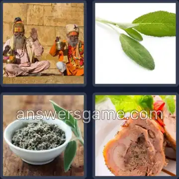 4 Pics 1 Word 4 Letters SAGE
