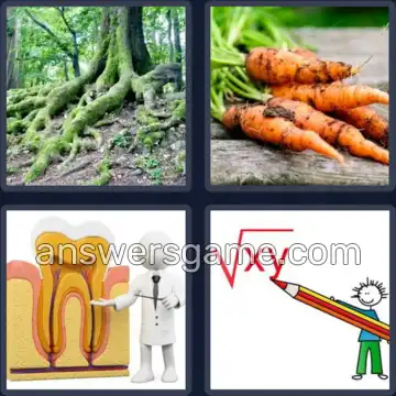 4 Pics 1 Word 4 Letters ROOT