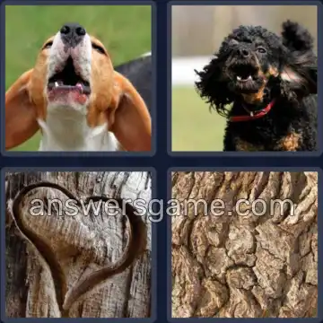 4 Pics 1 Word 4 Letters BARK