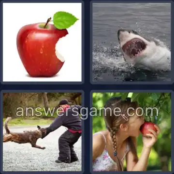 4 Pics 1 Word 4 Letters BITE