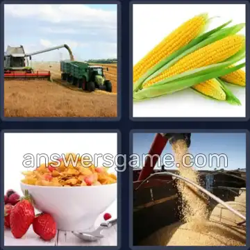 4 Pics 1 Word 4 Letters CORN