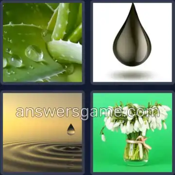 4 Pics 1 Word 4 Letters DROP