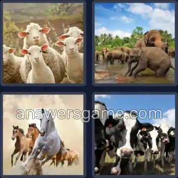 4 Pics 1 Word 4 Letters HERD