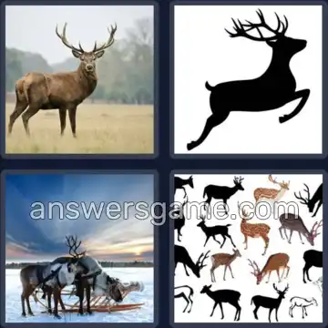 4 Pics 1 Word 4 Letters DEER