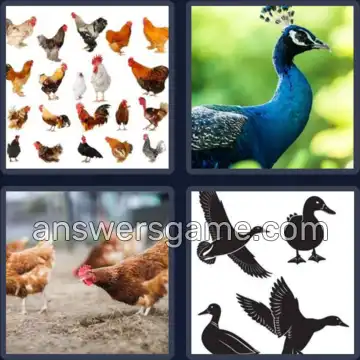 4 Pics 1 Word 4 Letters FOWL